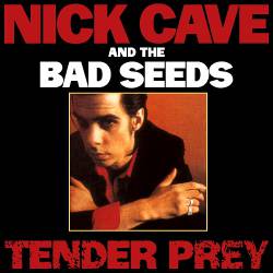 Nick Cave And The Bad Seeds : Tender Prey